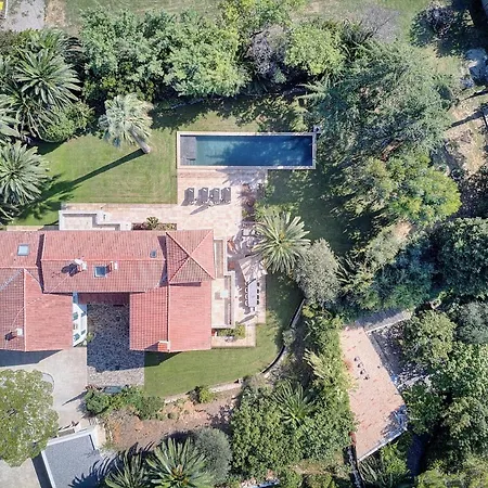 Villa Leader Large Contemporary With Luxurious Design, Pool And View