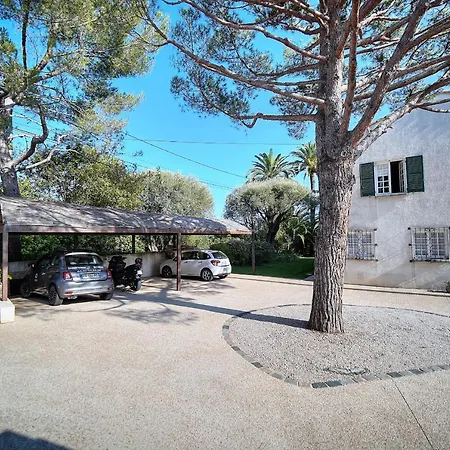 Leader Large Contemporary With Luxurious Design, Pool And View